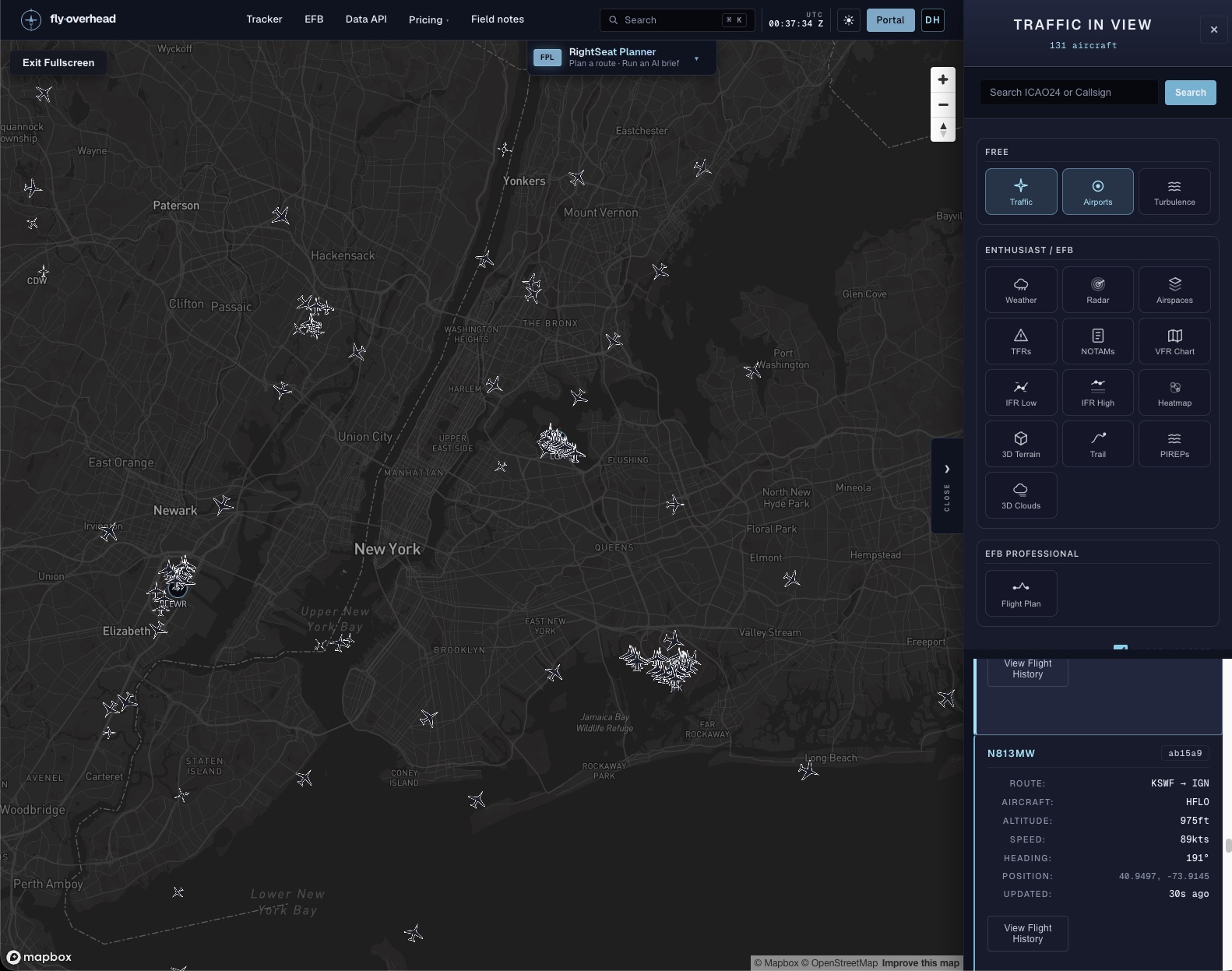 The Fly Overhead live map over New York showing 131 tracked aircraft